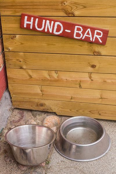 Bibikow, Walter 아티스트의 Southern Sweden-Ystad-Hund-Bar-water for dogs-dog bar작품입니다.